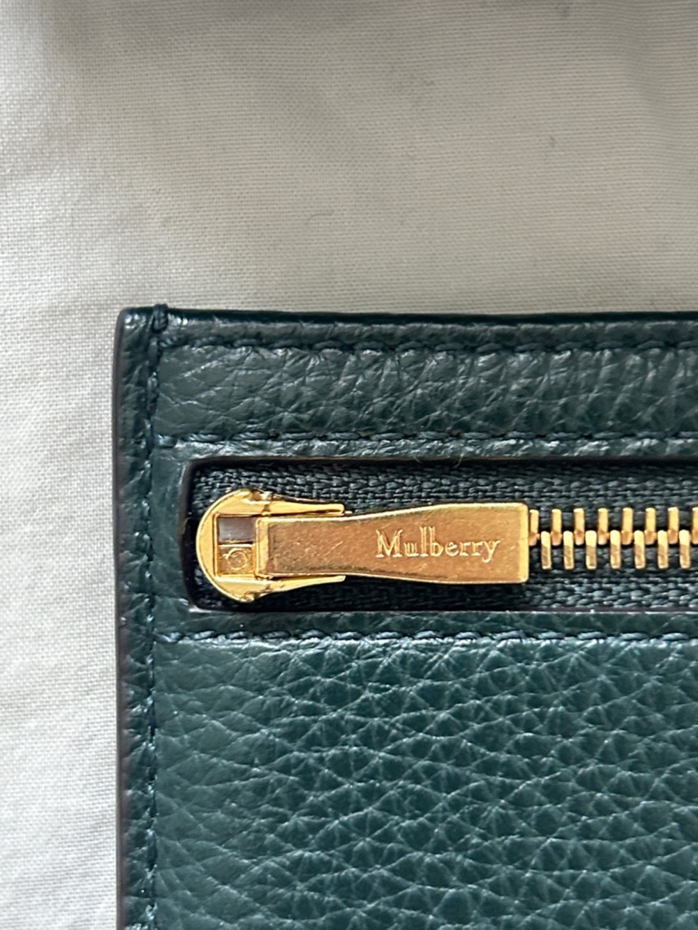 Mulberry Zipped Credit Card Slip in green - Picture 9 of 10